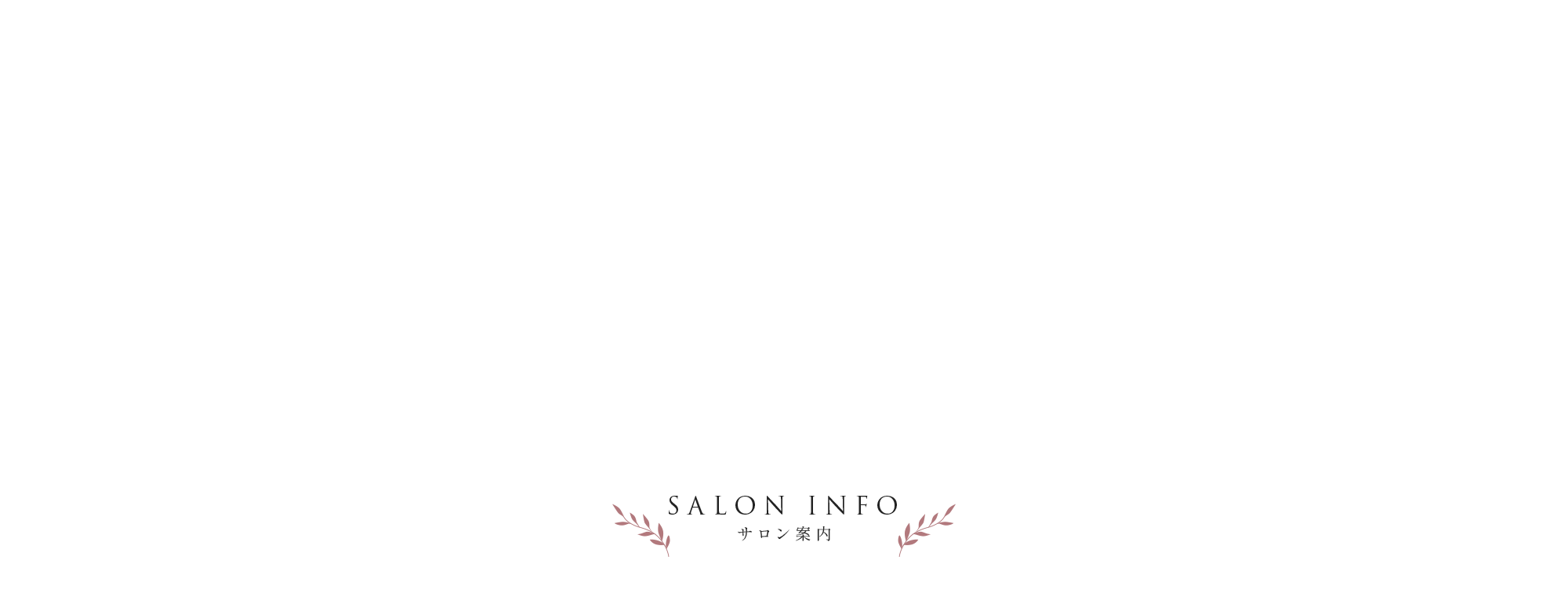 SALON INFO